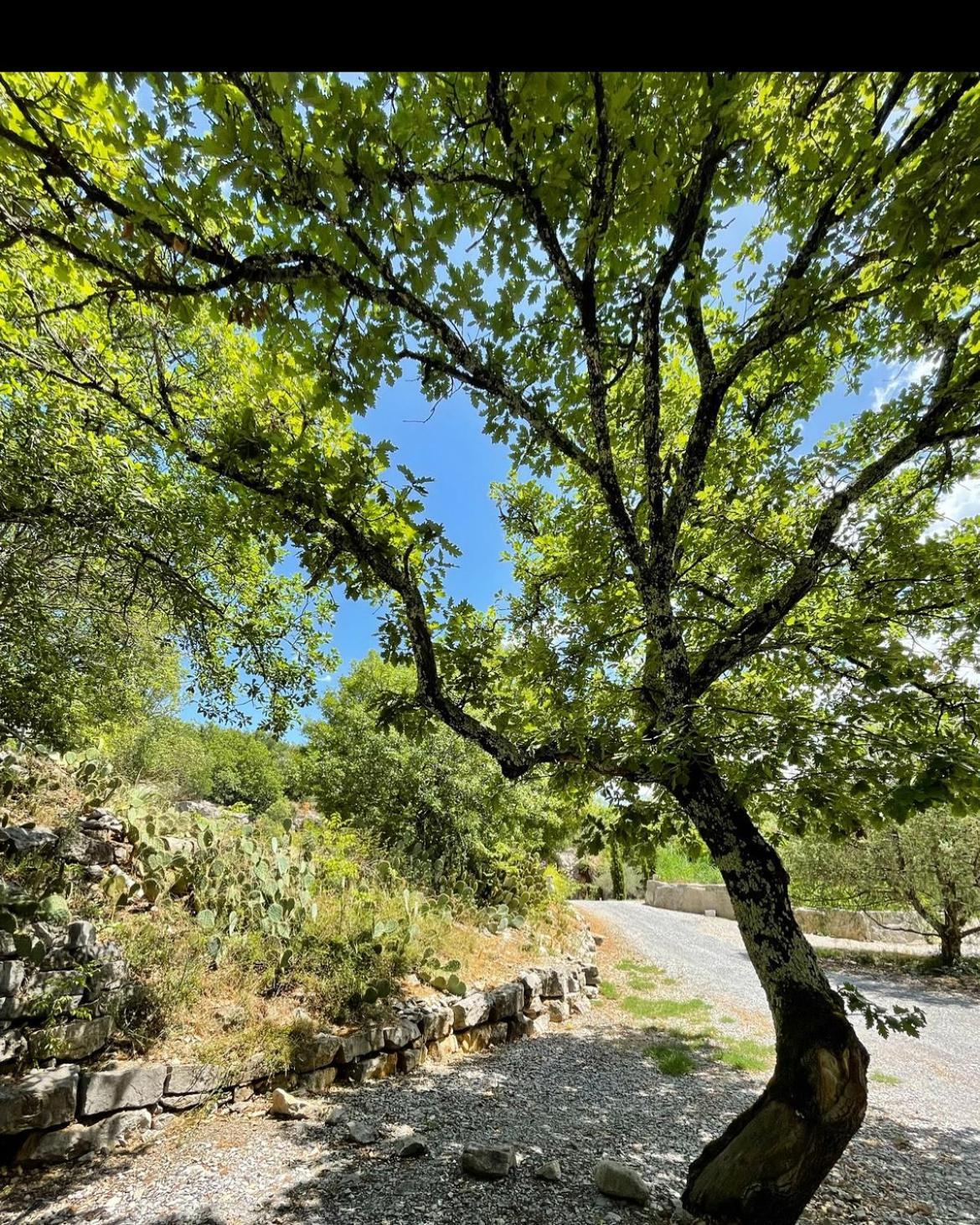 Les Chalets De Labeaume Εξωτερικό φωτογραφία
