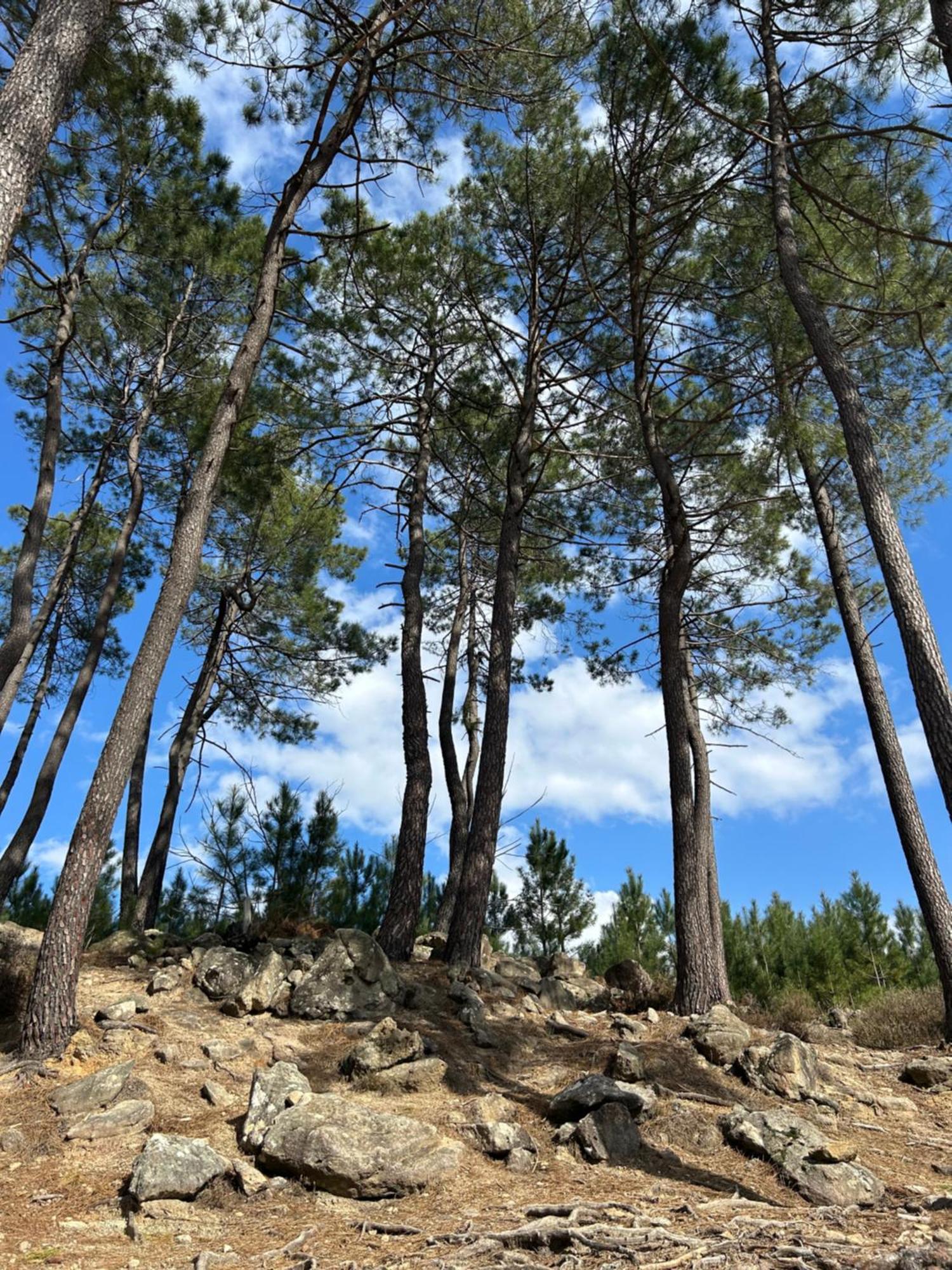 Les Chalets De Labeaume Εξωτερικό φωτογραφία
